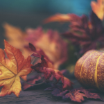 City of Herculaneum will be closed Nov. 27 & 28