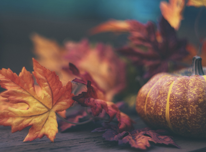 City of Herculaneum will be closed Nov. 27 & 28